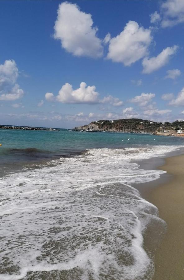 La Bicocca Di Annavi Acomodação com café da manhã Forio di Ischia Exterior foto